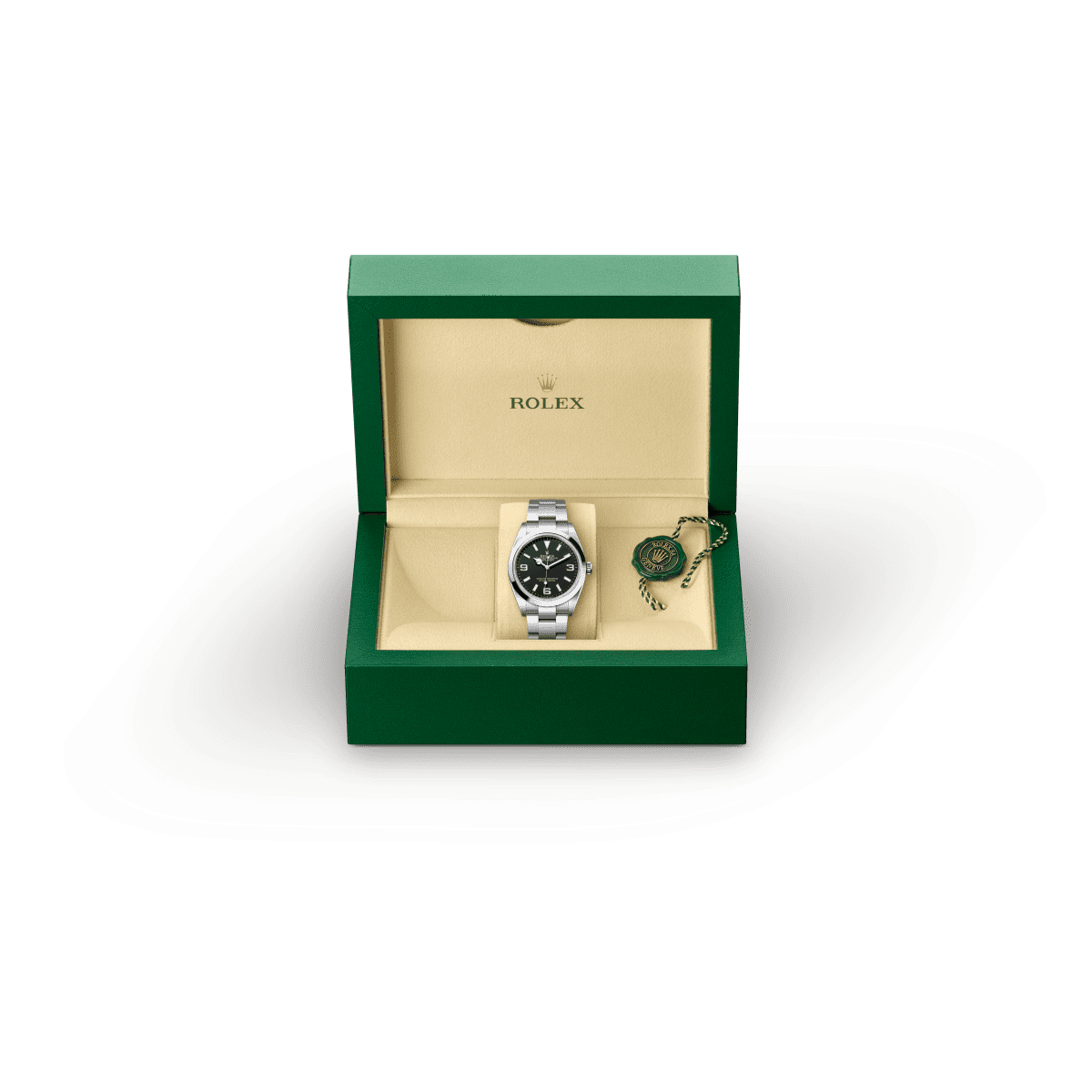 Disponibilità dei modelli Rolex Models availability