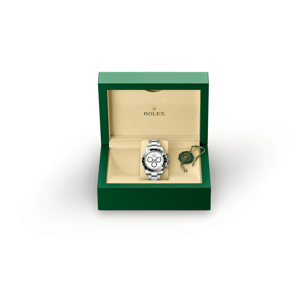 Disponibilità dei modelli Rolex Models availability