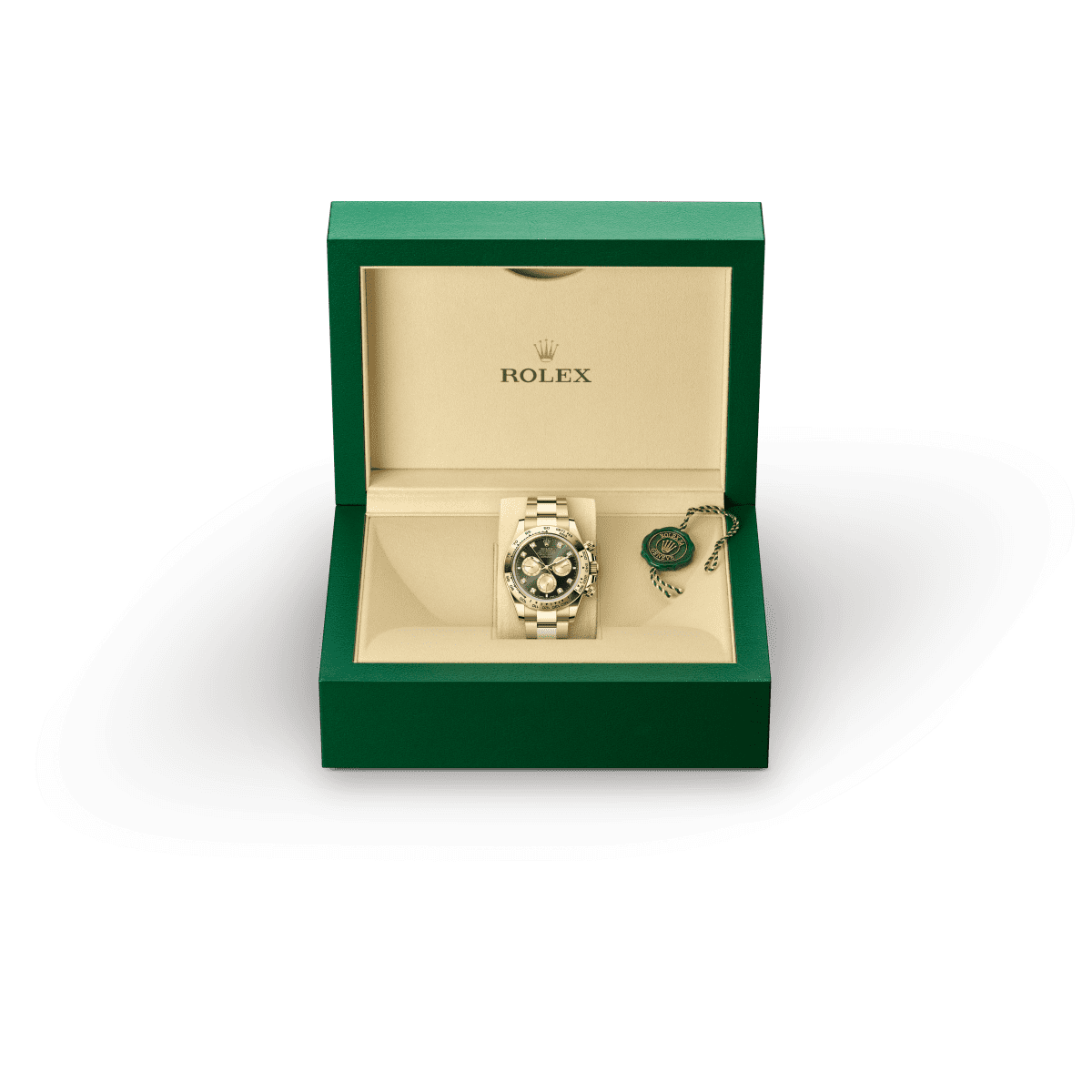 Disponibilità dei modelli Rolex Models availability